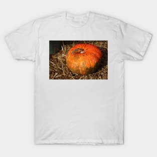 Pumpkin Says Pick Me T-Shirt